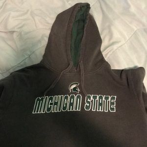 Michigan State Hoodie